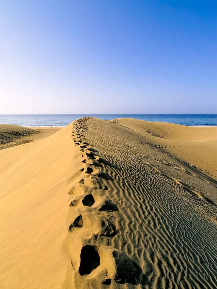 A real highlight | Dunes in Maspalomas